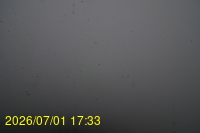 Img20260701_173310.jpg
