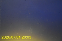 Img20260701_200310.jpg