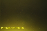 Img20260701_201810.jpg