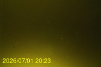 Img20260701_202310.jpg