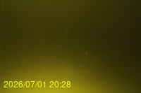 Img20260701_202810.jpg