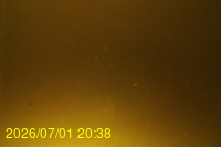 Img20260701_203810.jpg