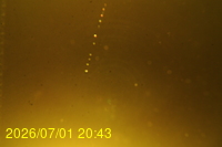 Img20260701_204310.jpg