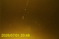 Img20260701_204810.jpg