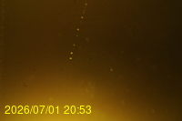Img20260701_205310.jpg