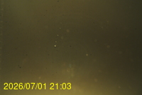 Img20260701_210310.jpg