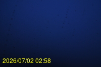 Img20260702_025812.jpg
