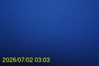 Img20260702_030312.jpg