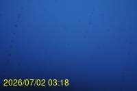 Img20260702_031812.jpg
