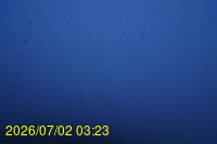 Img20260702_032312.jpg