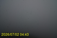 Img20260702_044312.jpg