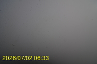 Img20260702_063312.jpg