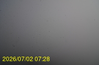 Img20260702_072813.jpg