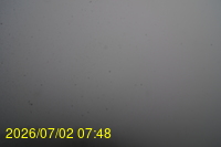 Img20260702_074813.jpg