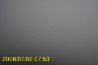 Img20260702_075313.jpg