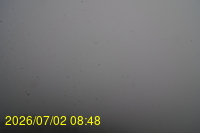 Img20260702_084813.jpg