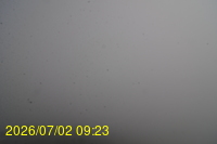 Img20260702_092313.jpg