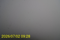 Img20260702_092813.jpg