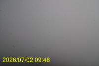 Img20260702_094813.jpg