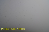 Img20260702_100313.jpg