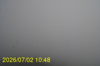 Img20260702_104813.jpg