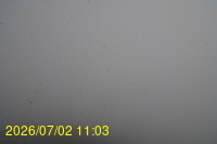 Img20260702_110313.jpg