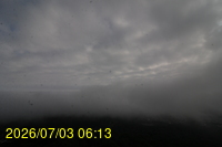 Img20260703_061317.jpg