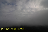 Img20260703_061817.jpg