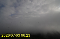Img20260703_062317.jpg