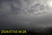 Img20260703_062817.jpg