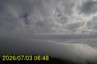 Img20260703_064818.jpg