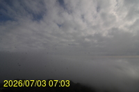 Img20260703_070318.jpg