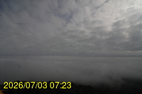 Img20260703_072318.jpg