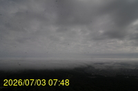 Img20260703_074818.jpg