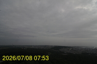 Img20260708_075342.jpg