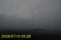 Img20260710_052850.jpg