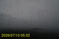 Img20260710_053350.jpg