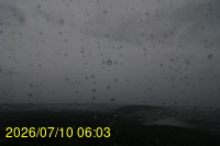 Img20260710_060350.jpg