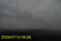 Img20260710_062850.jpg