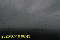 Img20260710_064350.jpg