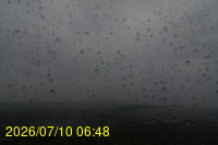 Img20260710_064850.jpg
