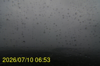 Img20260710_065350.jpg