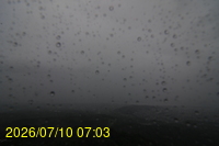 Img20260710_070350.jpg