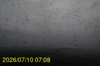 Img20260710_070850.jpg