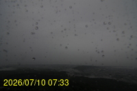 Img20260710_073350.jpg