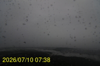 Img20260710_073850.jpg