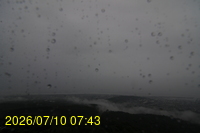 Img20260710_074350.jpg