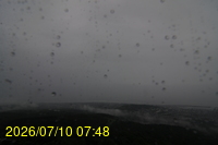 Img20260710_074850.jpg