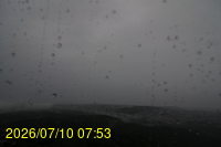 Img20260710_075350.jpg