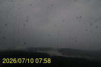 Img20260710_075850.jpg
